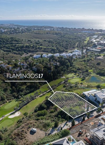 Foto-de-Portada-Landing-Flamingos_17-op-1-scaled- 1920px