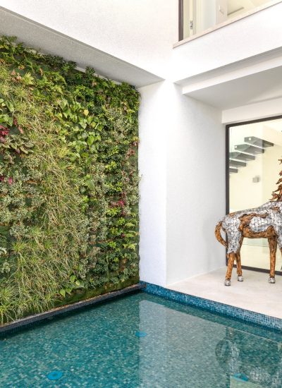 HIGH_RES_B0008281- 1920px