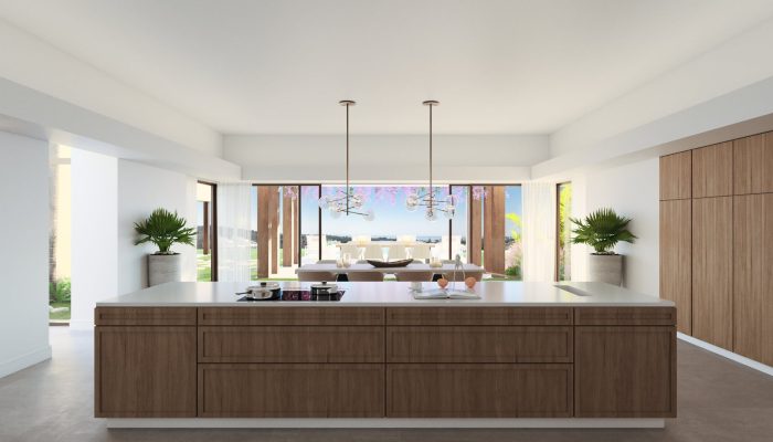 Kitchen - dining room